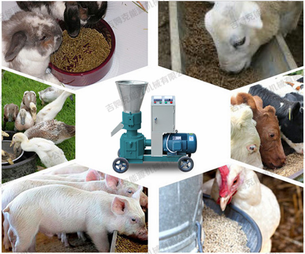 飼料顆粒機(jī)B型 飼料顆粒機(jī)B型
